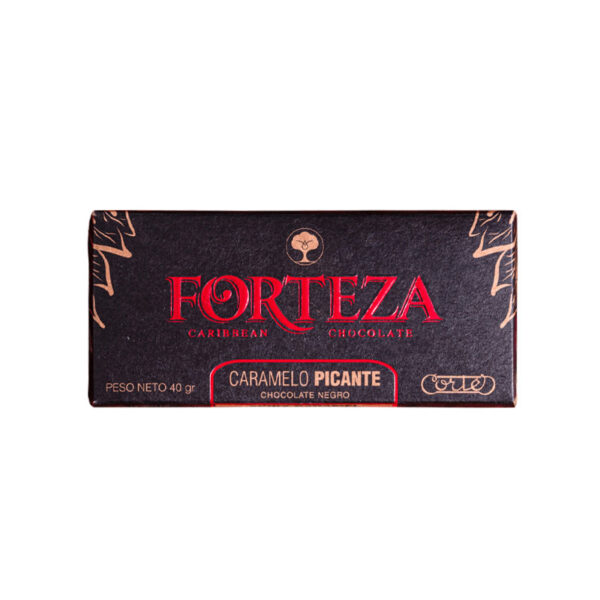 Forteza Dark Chocolate with Spicy Caramel