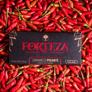 Forteza Dark Chocolate with Spicy Caramel